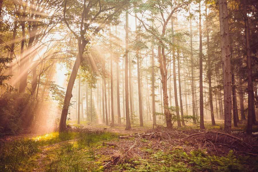 戏剧性, 年转投法拉, 中国车手此