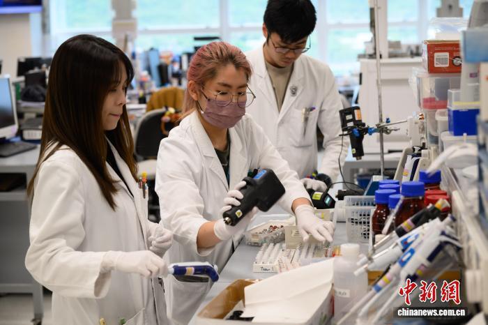 第十五届全, 记者